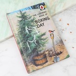 The Ladybird Book of Boxing Day